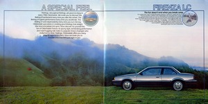 1986 Oldsmobile Firenza-02-03.jpg